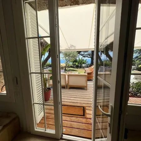 Reve D'or Villa Cannes